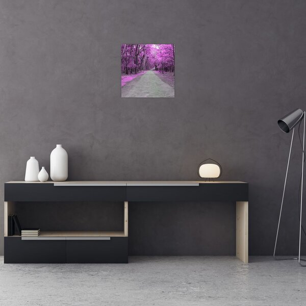 Obraz - Cesta parkem (30x30 cm)
