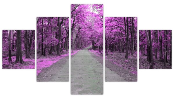 Obraz - Cesta parkem (125x70 cm)