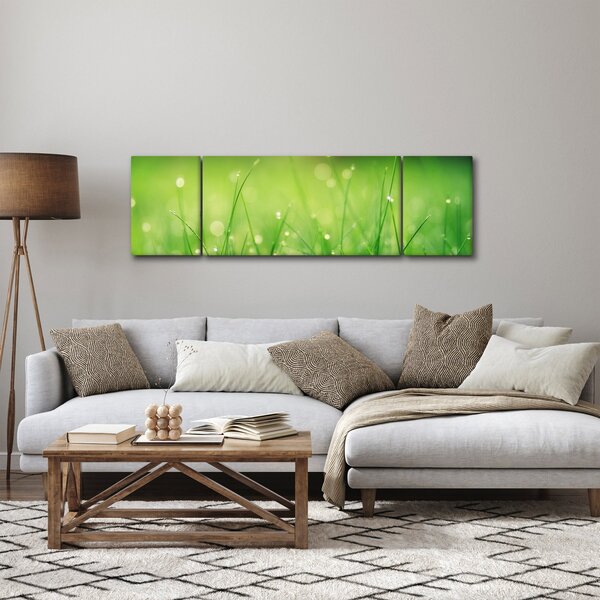 Obraz - rosa na trávě (170x50 cm)