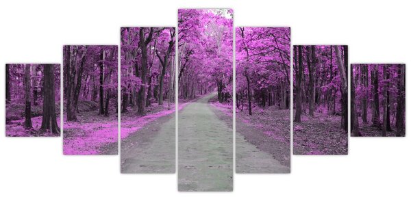 Obraz - Cesta parkem (210x100 cm)