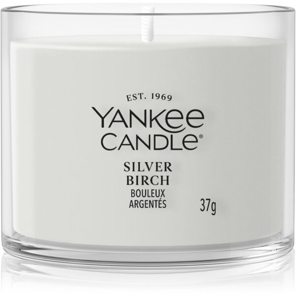 Yankee Candle Silver Birch votivní svíčka 37 g
