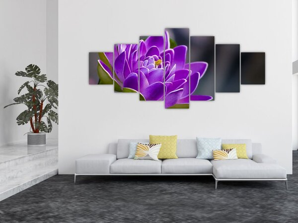Obraz květu (210x100 cm)