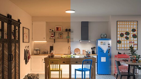 PHI Ceiling 18W W RD 27-65 TW Smart stropní svítidlo