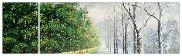 Obraz - Zima versus léto (170x50 cm)