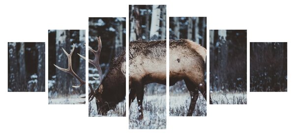 Obraz - jelen v zimě (210x100 cm)