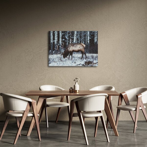 Obraz - jelen v zimě (70x50 cm)