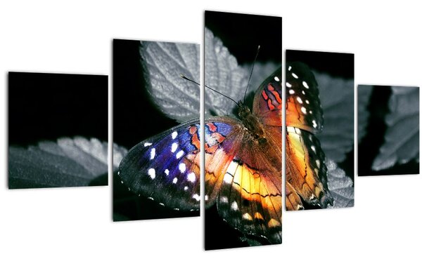 Obraz motýla (125x70 cm)
