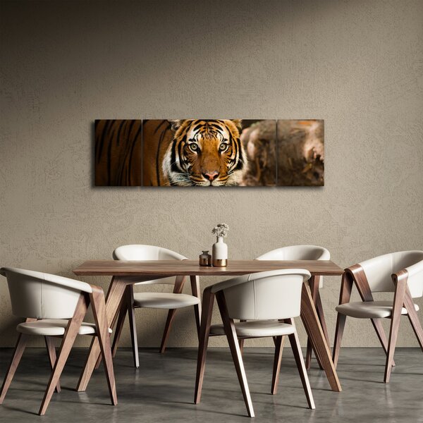 Obraz tygra (170x50 cm)