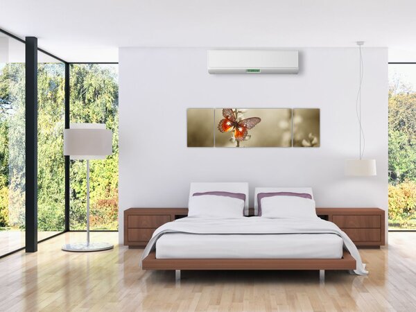 Obraz motýla (170x50 cm)