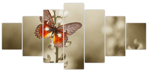 Obraz motýla (210x100 cm)