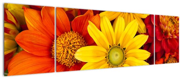 Obraz květů (170x50 cm)