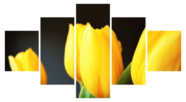 Obraz tulipánů (125x70 cm)
