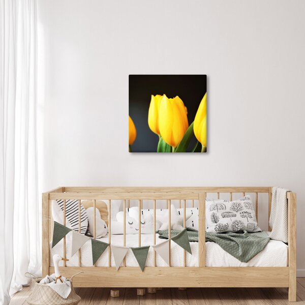 Obraz tulipánů (30x30 cm)