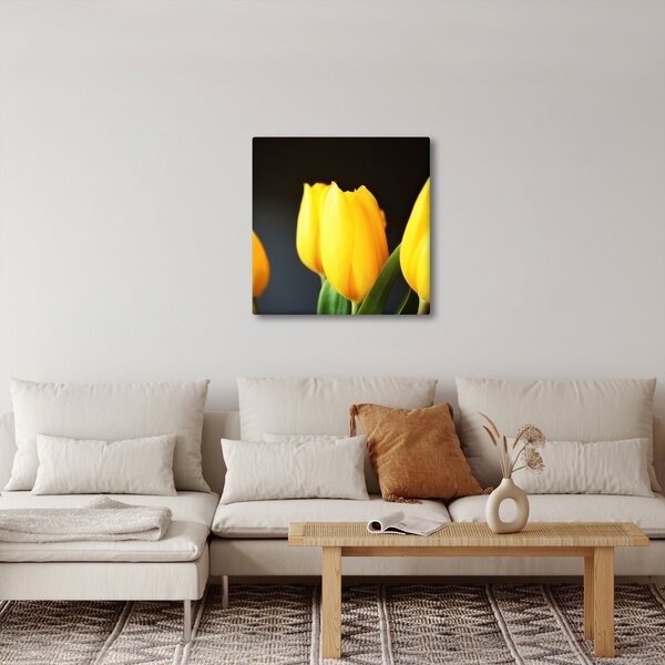 Obraz tulipánů (30x30 cm)