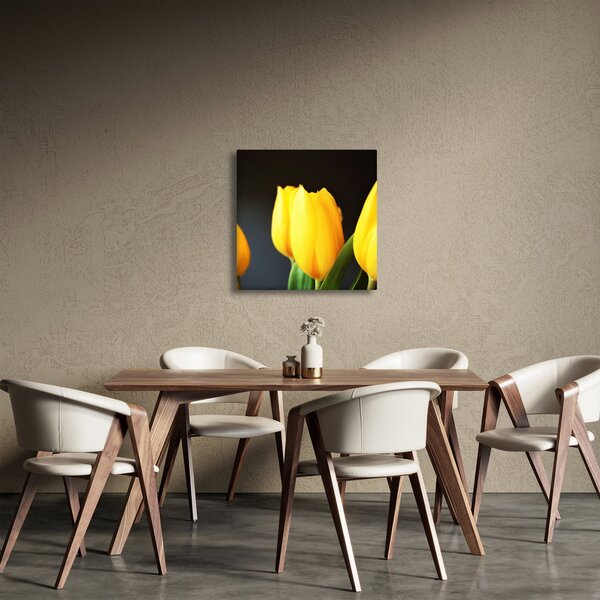 Obraz tulipánů (30x30 cm)