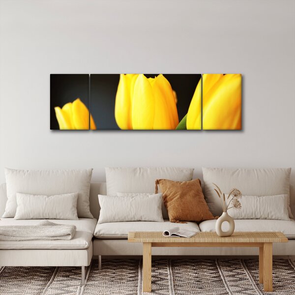 Obraz tulipánů (170x50 cm)