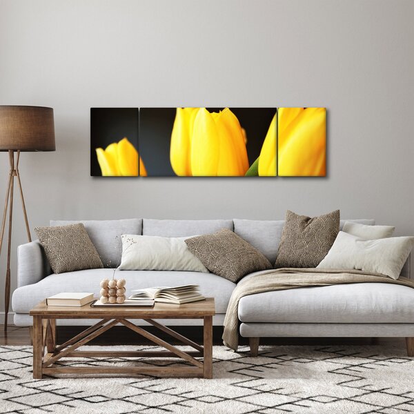 Obraz tulipánů (170x50 cm)
