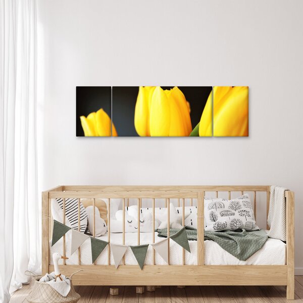 Obraz tulipánů (170x50 cm)