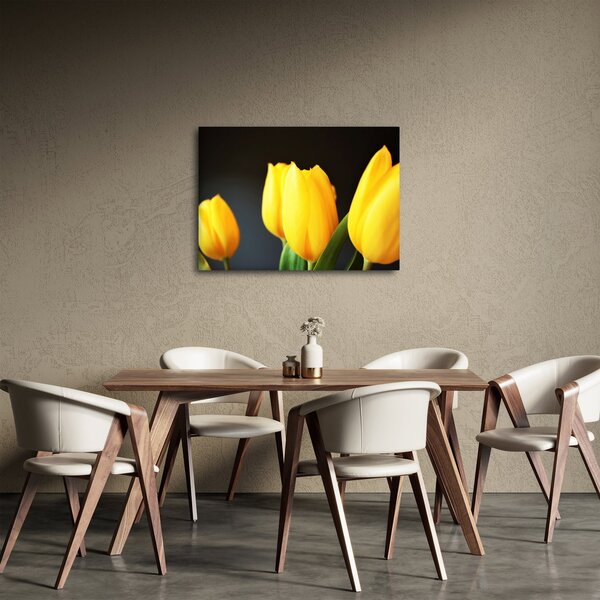 Obraz tulipánů (70x50 cm)