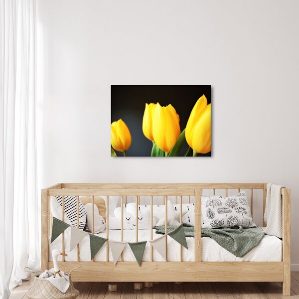 Obraz tulipánů (70x50 cm)