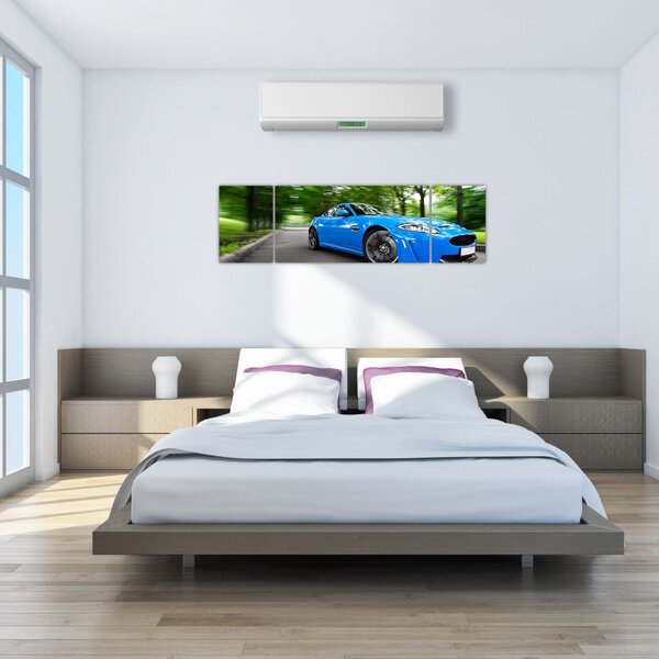 Obraz - Závodní auto (170x50 cm)