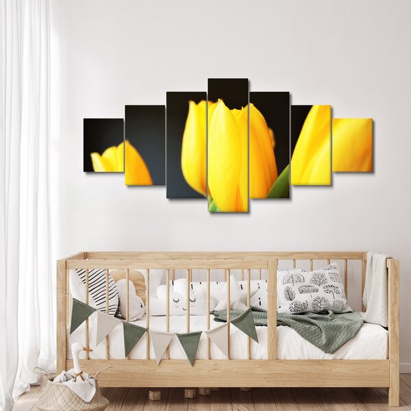 Obraz tulipánů (210x100 cm)