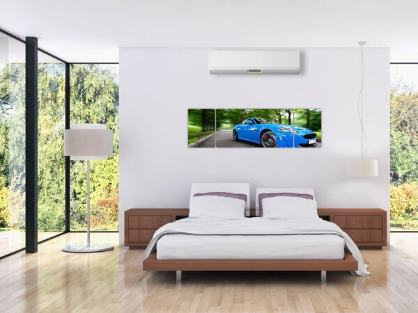 Obraz - Závodní auto (170x50 cm)