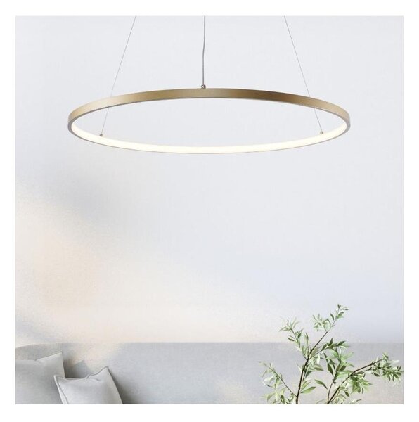 Zuma Line 2023201-GD60 - LED Lustr na lanku BRENO LED/28W/230V 3000/4000/6000K