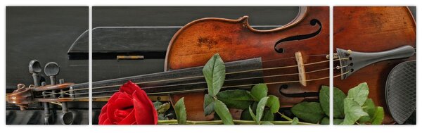 Obraz - Vzpomínka na hudebníka (170x50 cm)