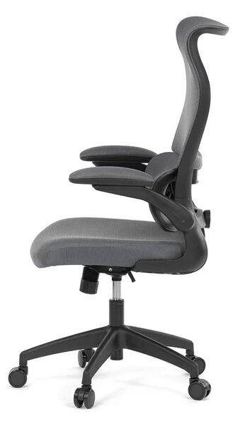 Kancelářská židle ERGO Mesh Pro/šedá