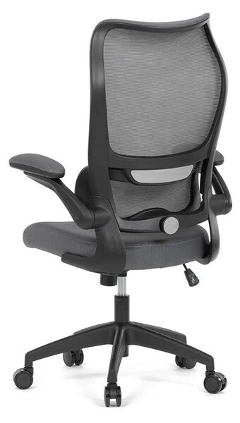 Kancelářská židle ERGO Mesh Pro/šedá