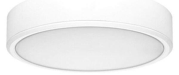 Rabalux 71244 - LED Stropní svítidlo LAURI LED/22W/230V pr. 21 cm bílá