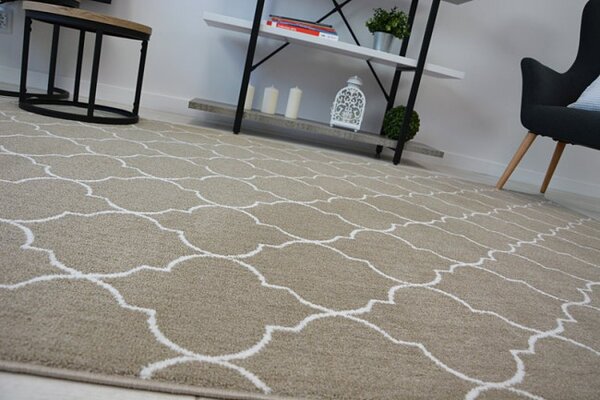 Koberec SENSE Micro 81220 bež/bílý TRELLIS