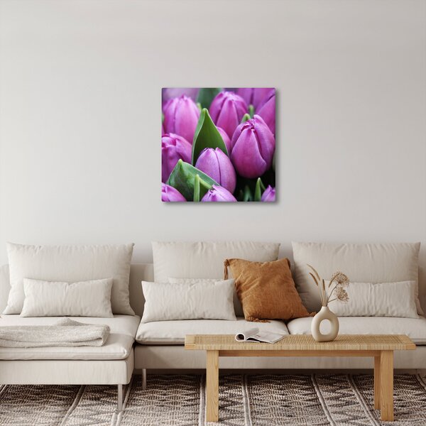 Obraz - květy tulipánů (30x30 cm)