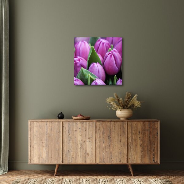 Obraz - květy tulipánů (30x30 cm)