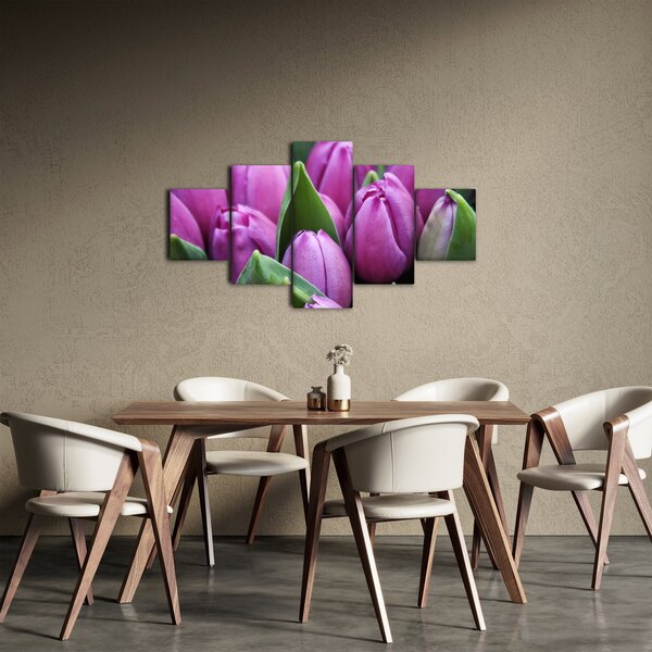 Obraz - květy tulipánů (125x70 cm)