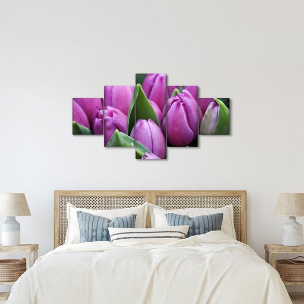 Obraz - květy tulipánů (125x70 cm)