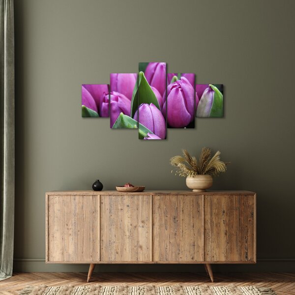 Obraz - květy tulipánů (125x70 cm)