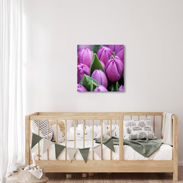 Obraz - květy tulipánů (30x30 cm)
