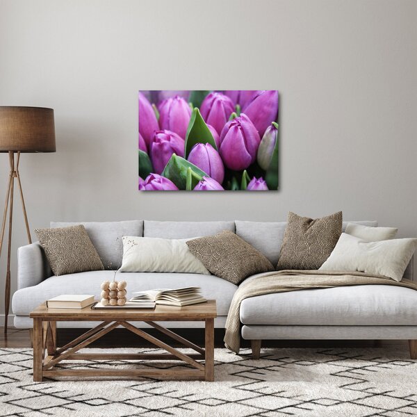 Obraz - květy tulipánů (70x50 cm)