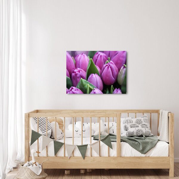Obraz - květy tulipánů (70x50 cm)