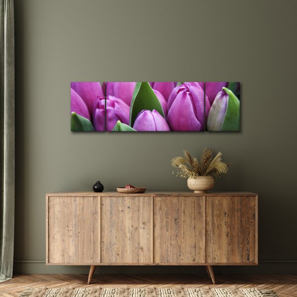 Obraz - květy tulipánů (170x50 cm)