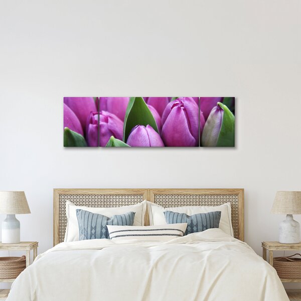 Obraz - květy tulipánů (170x50 cm)