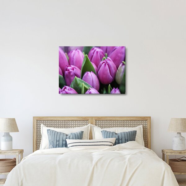 Obraz - květy tulipánů (70x50 cm)