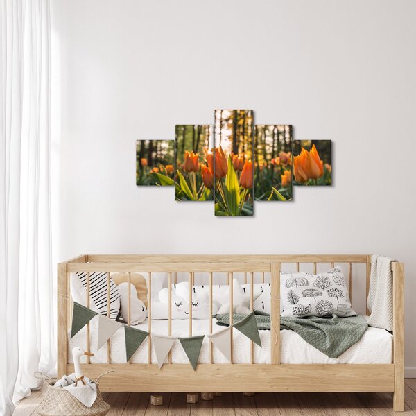 Obraz - květy tulipánů (125x70 cm)