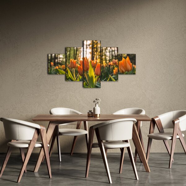 Obraz - květy tulipánů (125x70 cm)