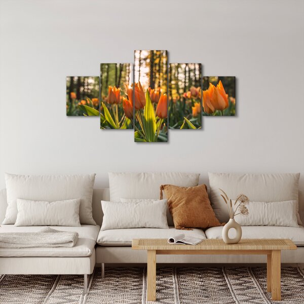 Obraz - květy tulipánů (125x70 cm)