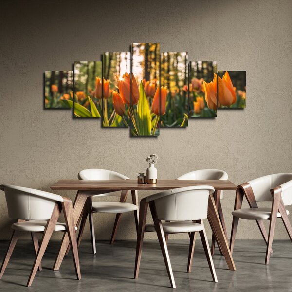 Obraz - květy tulipánů (210x100 cm)