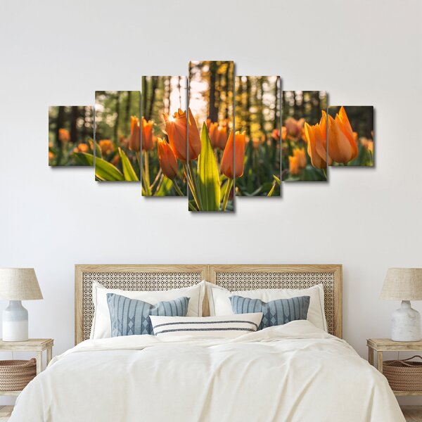 Obraz - květy tulipánů (210x100 cm)