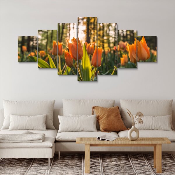 Obraz - květy tulipánů (210x100 cm)